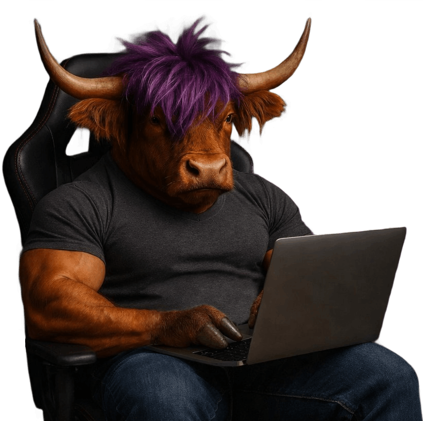 highland cow accent image