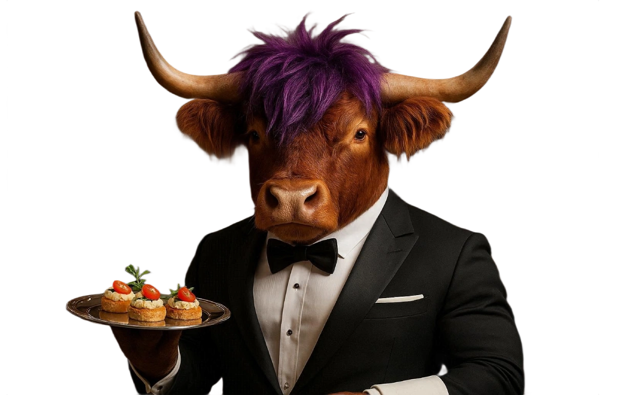 highland cow accent image