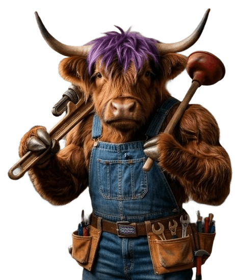 highland cow accent image