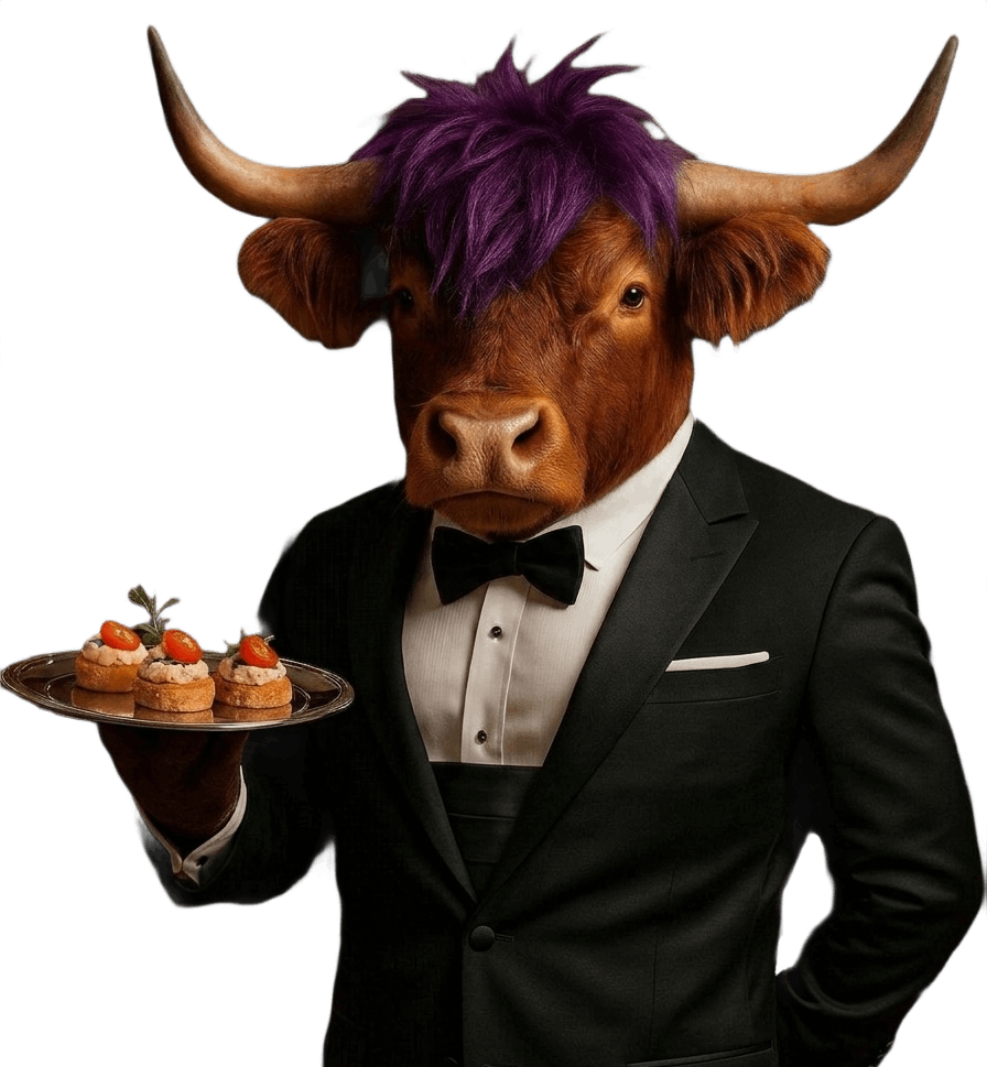 highland cow accent image